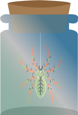 Glas mit grüner Spinne